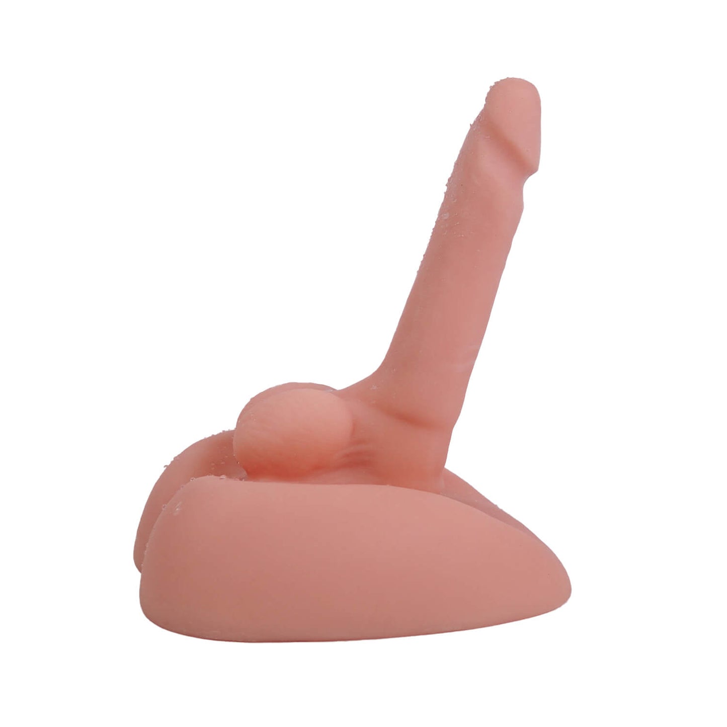 Mini Torso Dandi