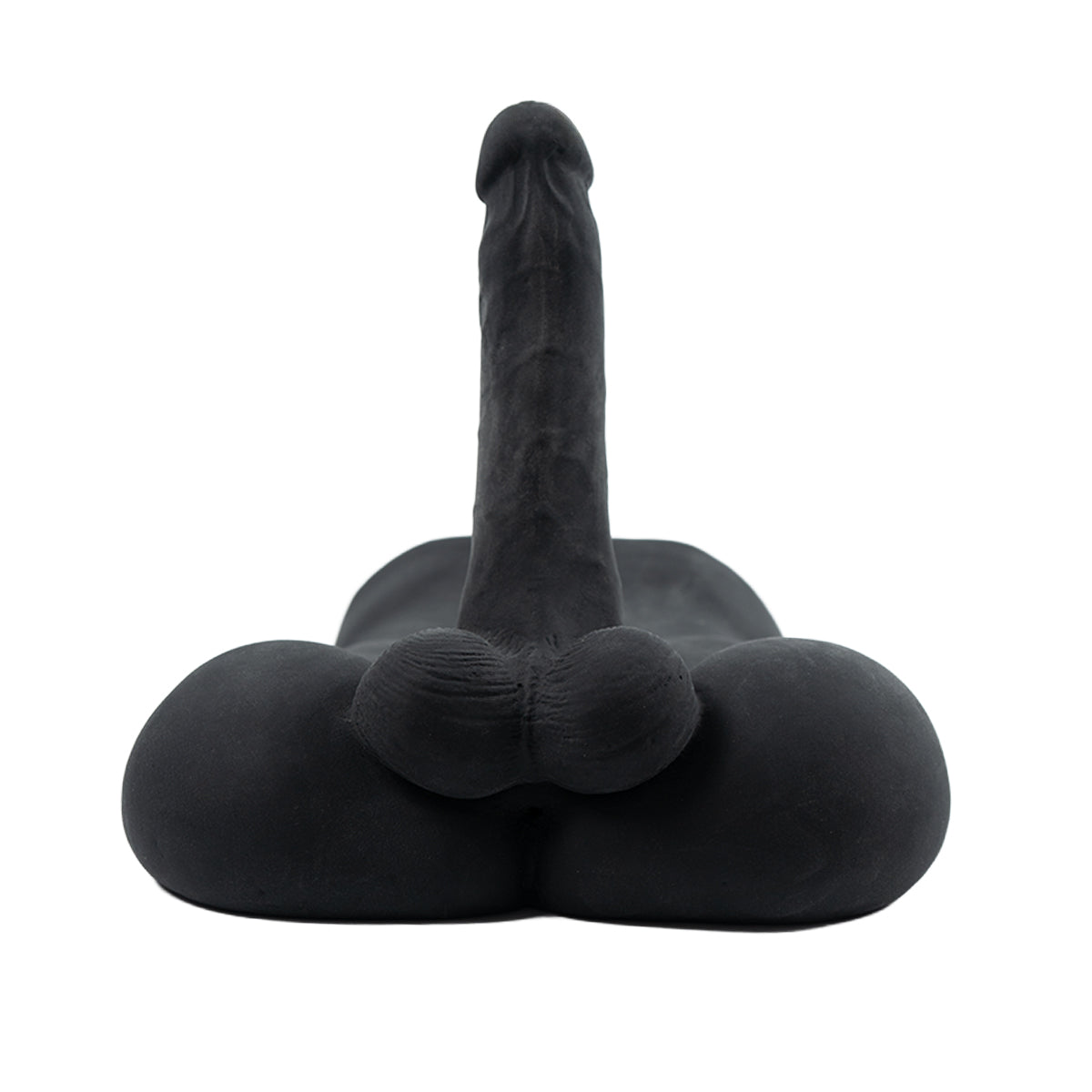 Torso Landon Camtoyz