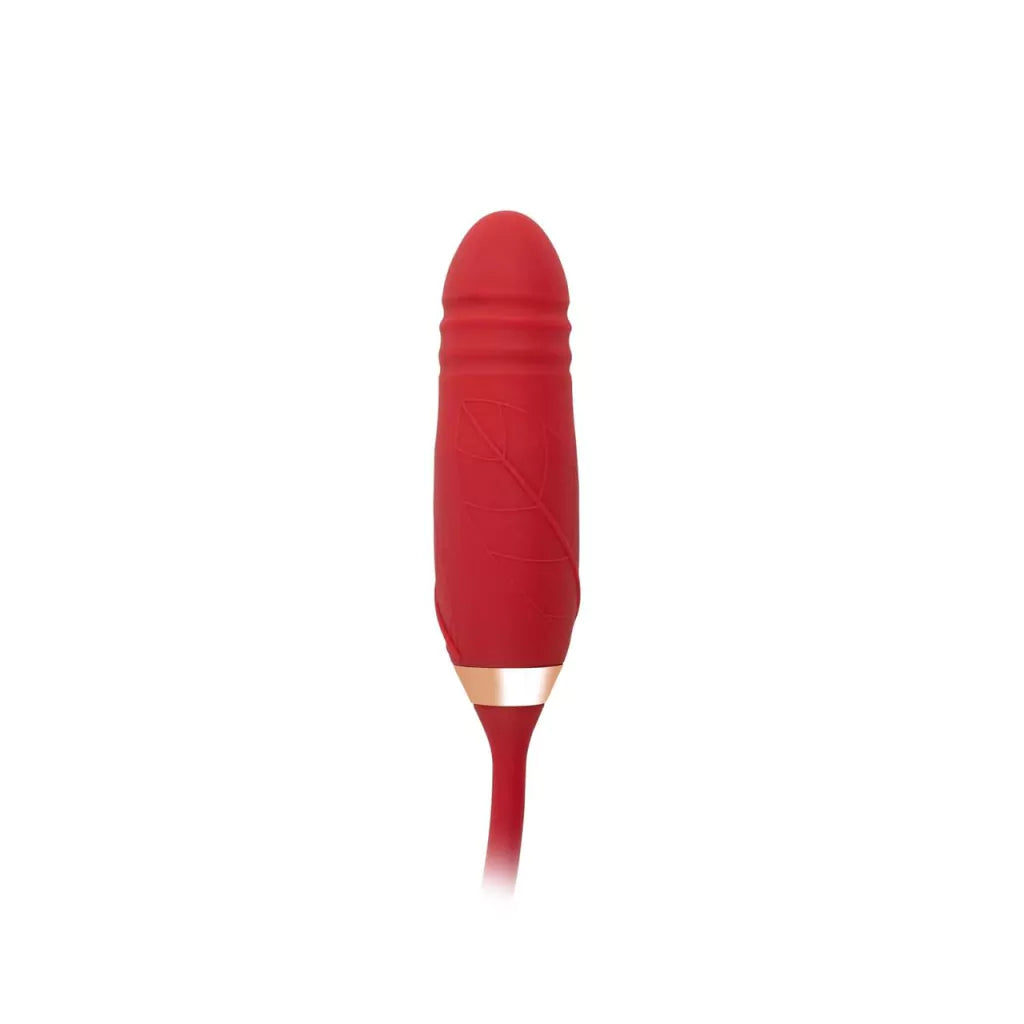 Vibardor Rosa Lengua Y Empuje